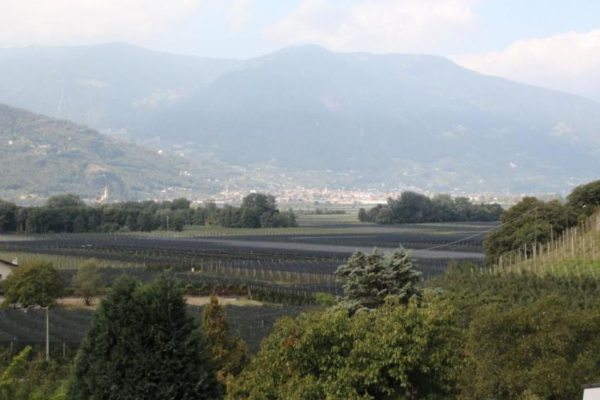 Fewo mit Pool, Sauna und Whirlpool - foto 27