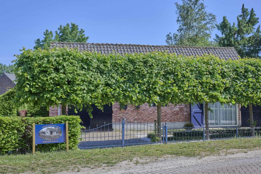 De Zeelberg - foto 44