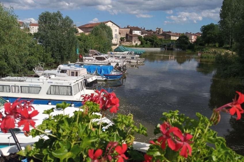 an der Weinstraße von Burgund - foto 30