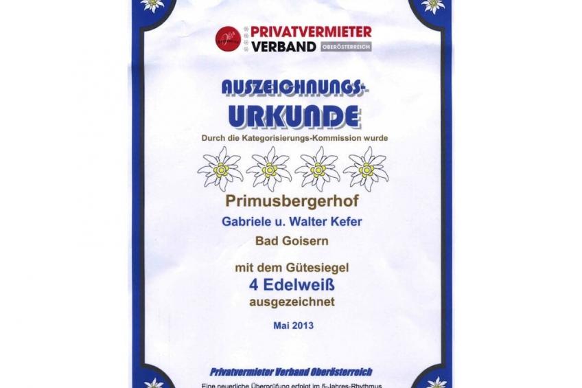 15662 - foto 41