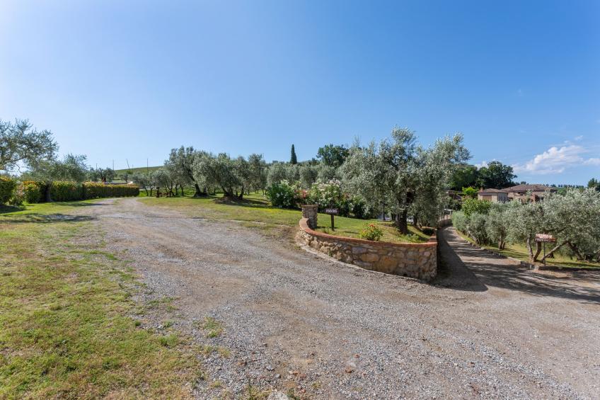 Mandorlo - foto 31
