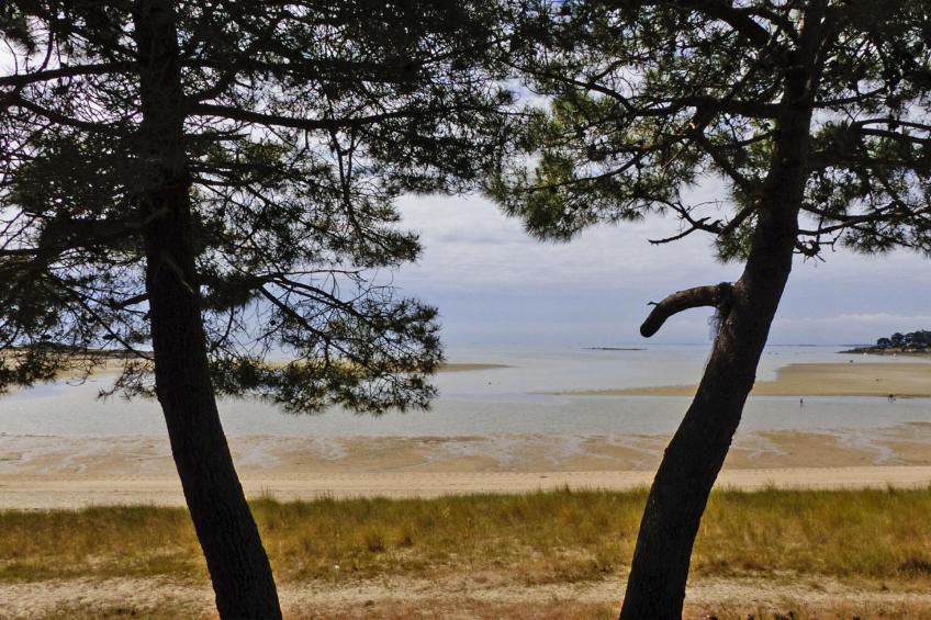 Twee-onder-een-kap woning, Carnac - foto 19