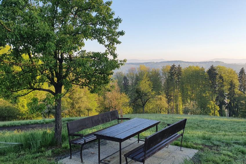 Appartement Apollo in der Wohlfühloase am Trausdorfberg mit Sauna Whirlpoolnutz - foto 23