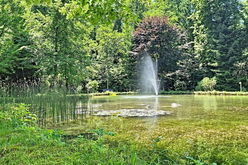 Grubhof - foto 58