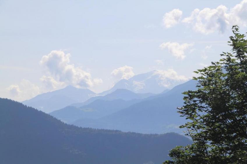 T. DU MOREL A N°25 - 2P5 - foto 33