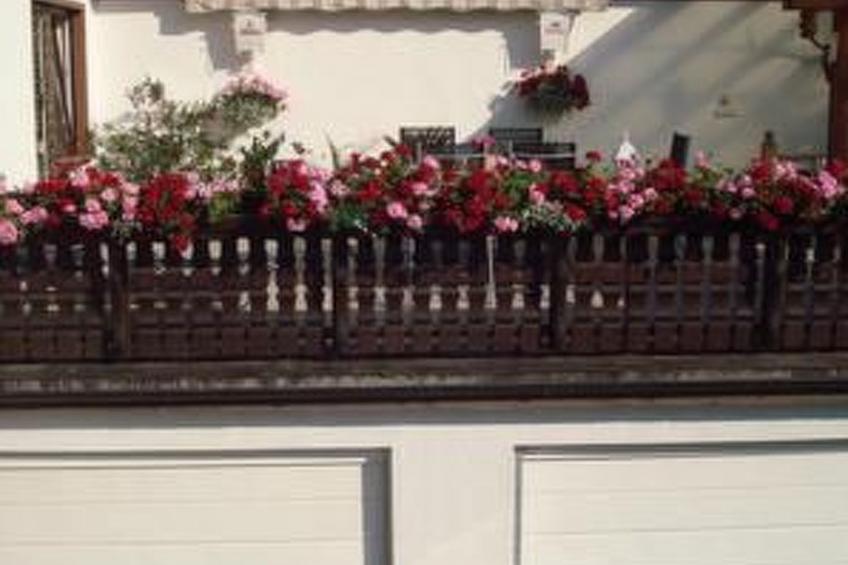 Helle Wohnung in Frankenhain mit Grill - foto 22