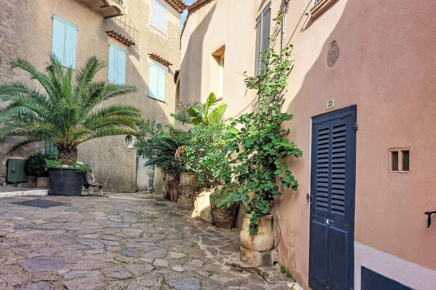 Le Grand Pin - foto 23