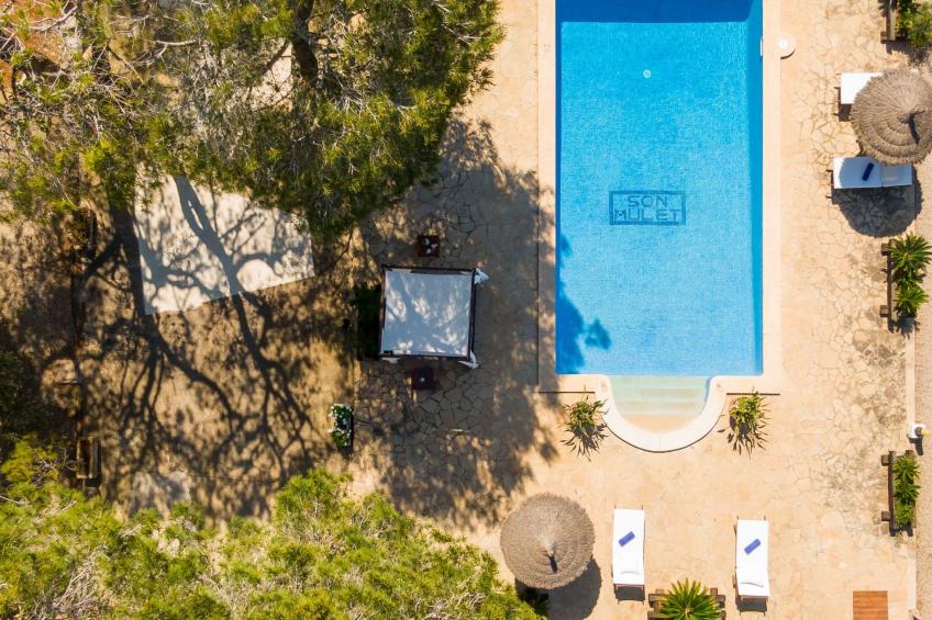 Mulet Llubi - foto 2