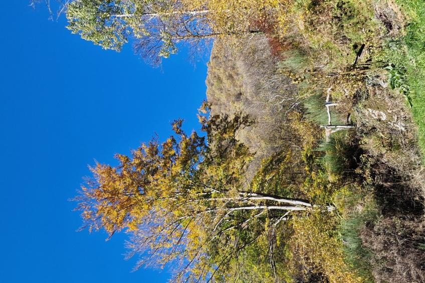 Casa Piccola - foto 25