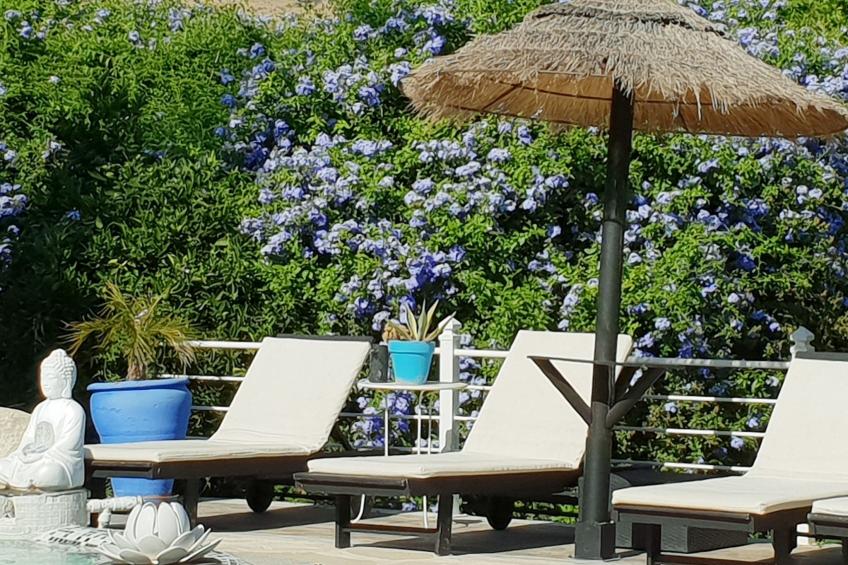 Das Lotus-Haus - foto 5