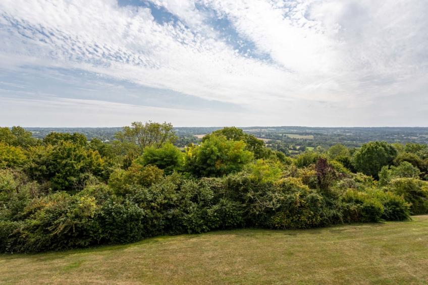 La Pinchonnière - foto 15