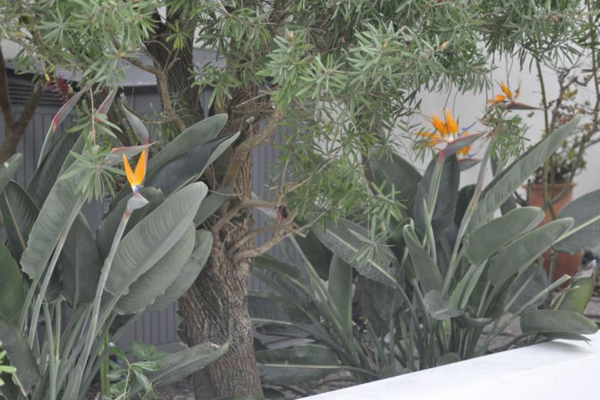 Vila Gaivota - foto 9