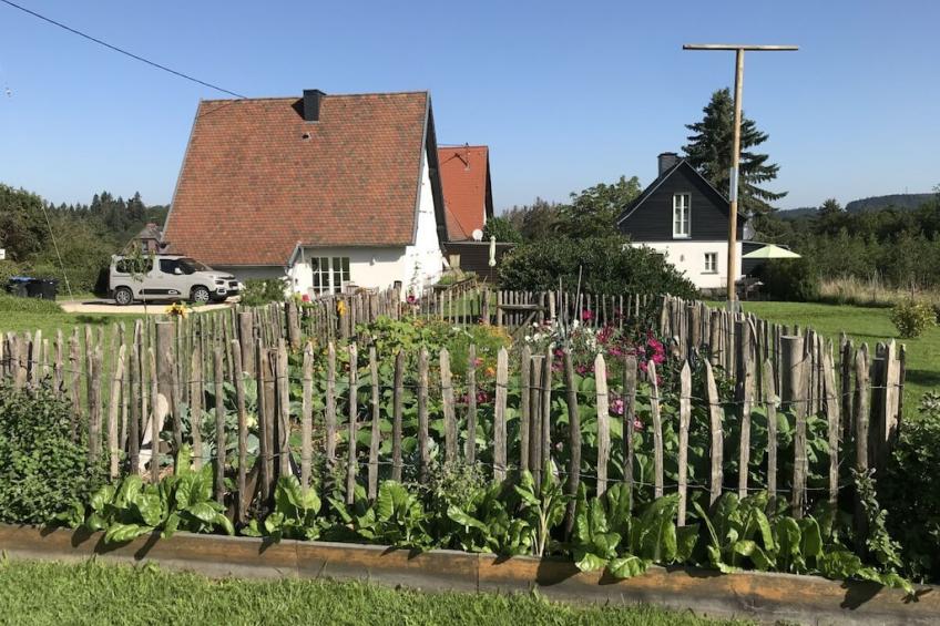 186429 - foto 7