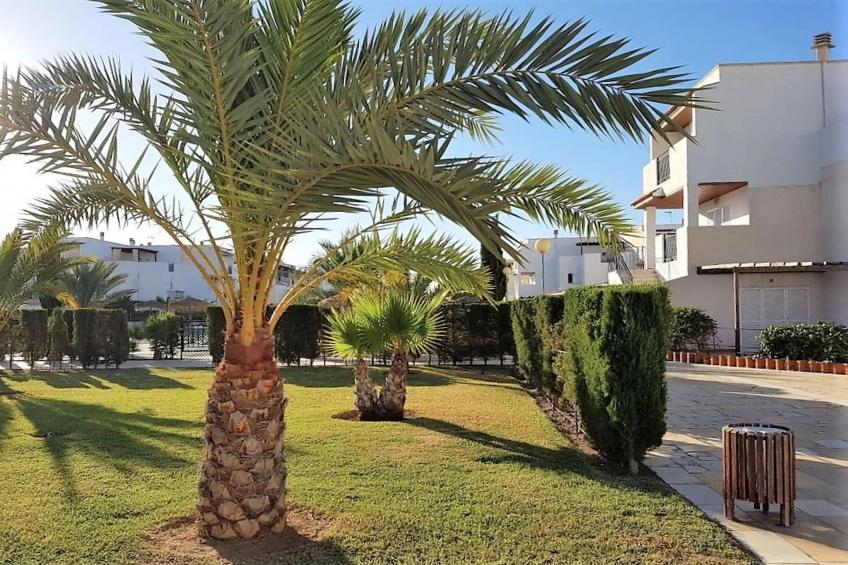 Natura World Duplex con patio privado 2b - foto 5