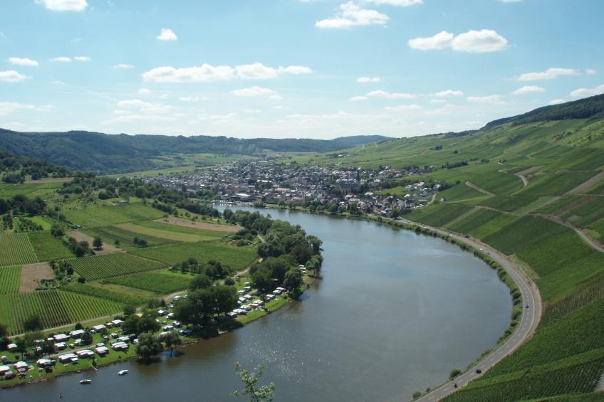 Weingut Kirch - foto 25