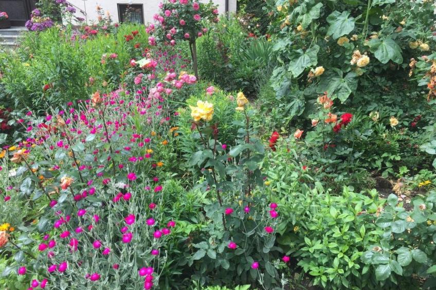 Große Ferienwohnung in Gosberg mit Terrasse, Garten und Grill - foto 10