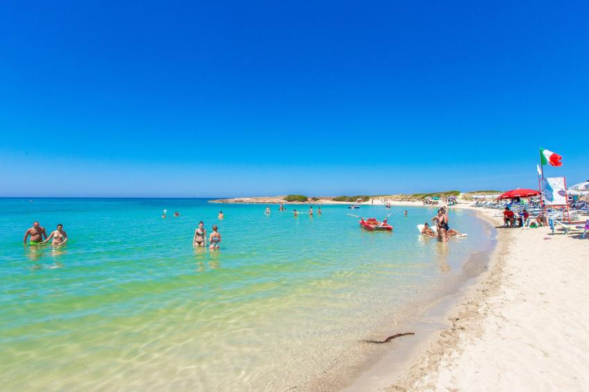 Flaches Meer aus Kiefernholz - foto 31