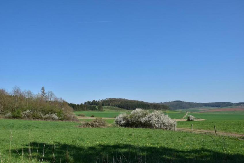 Im Sauerland - foto 38
