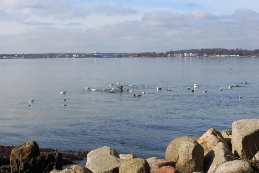 Appartement mit Garten, Grill und Terrasse - foto 12