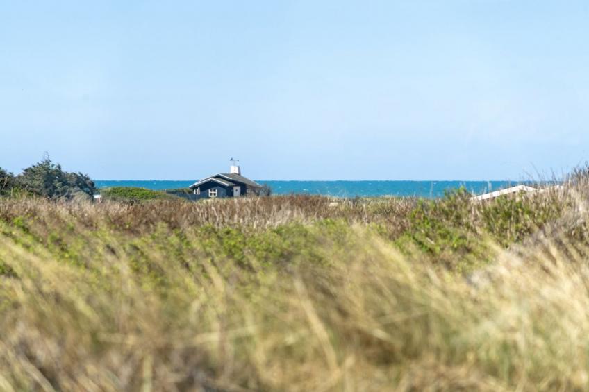 "Gila" - 250m from the sea in NW Jutland - foto 24
