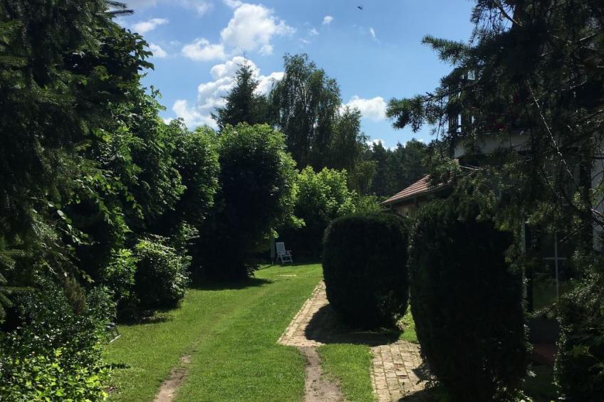 Löwenzahn mit Holu - foto 19