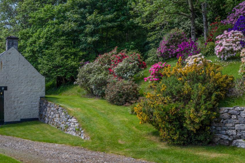 The Bothy - foto 73