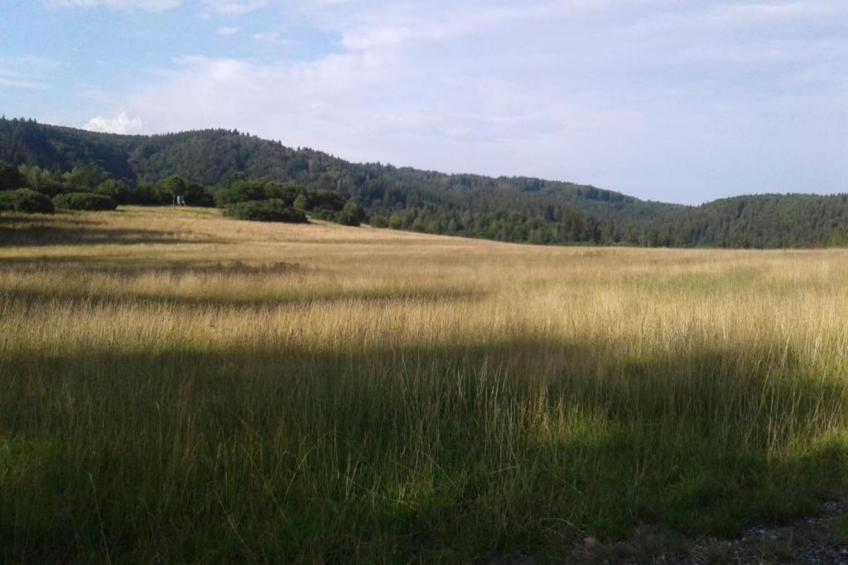 Ferienwohnung Thale - foto 39