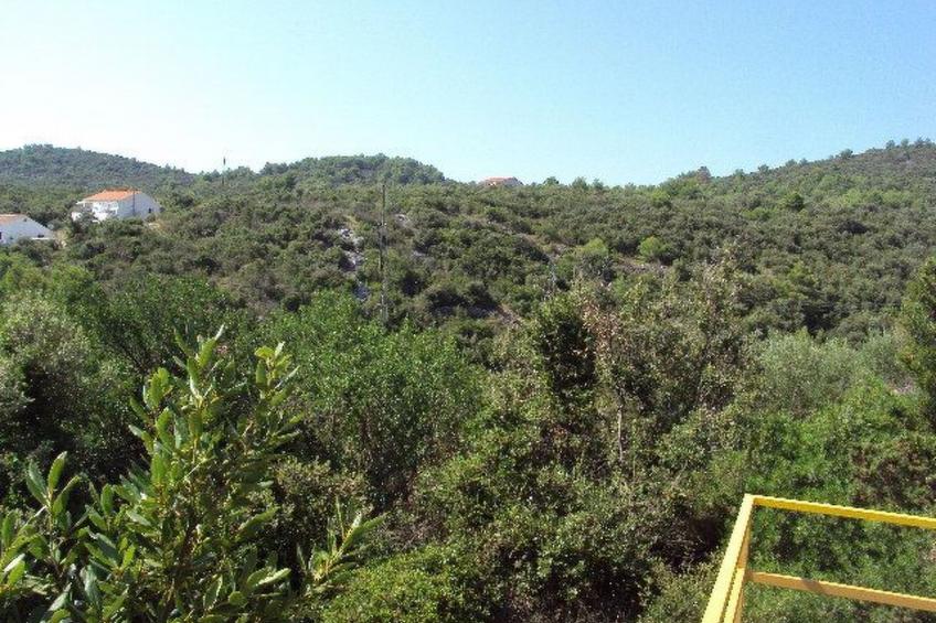 Schönes Apartment in Zaglav mit Außenkamin - foto 43