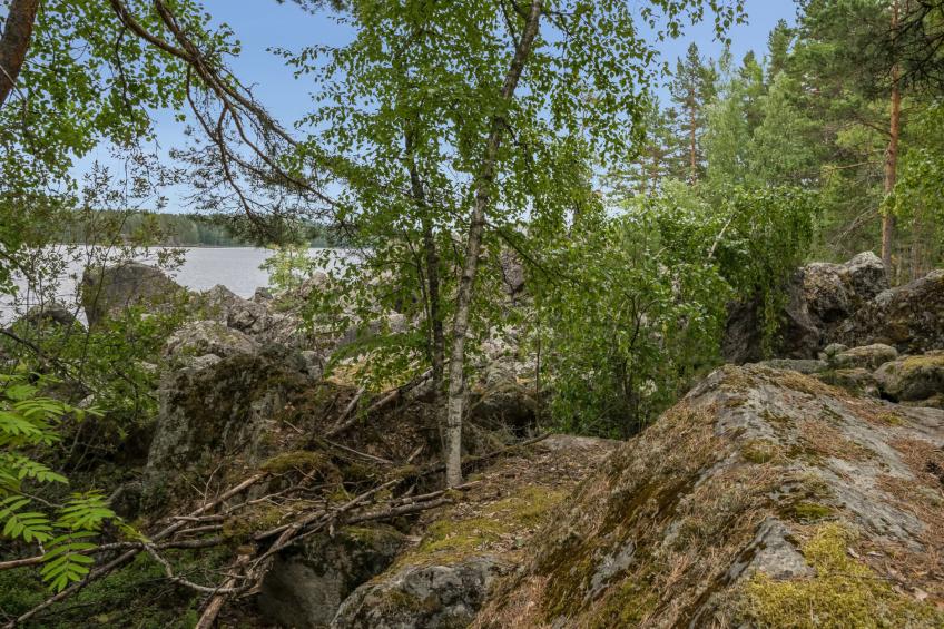 Neitlinna - foto 2