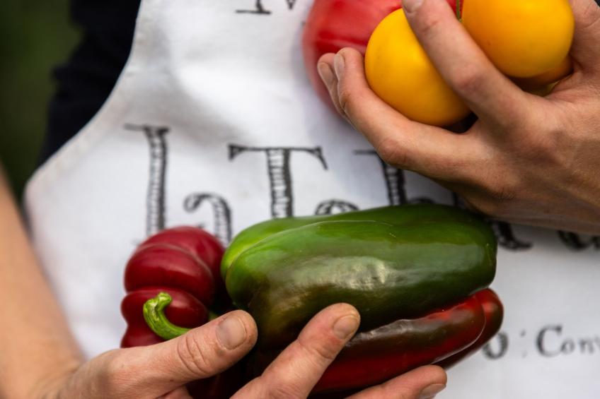 Grand Appartement - foto 17