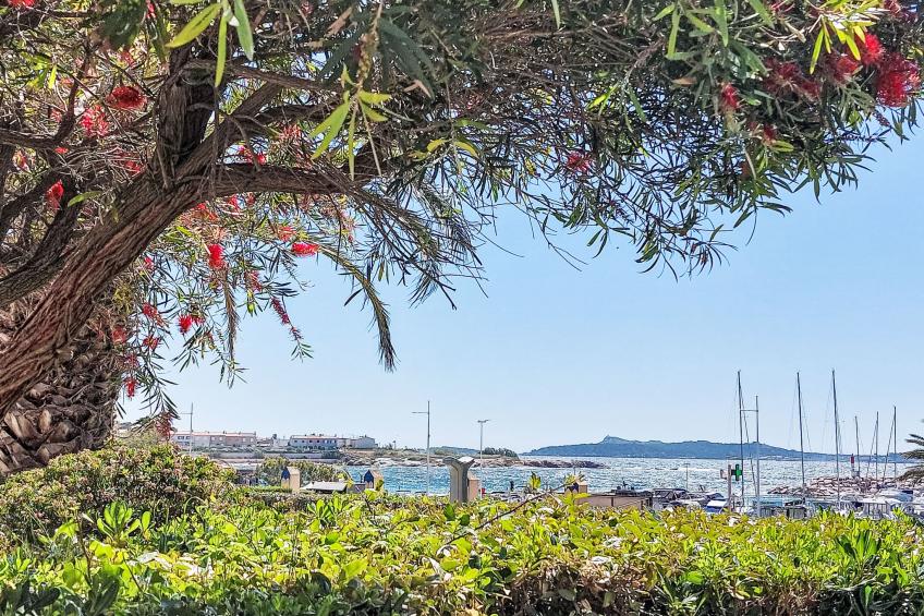 Les Rivages de Coudoulière - foto 30