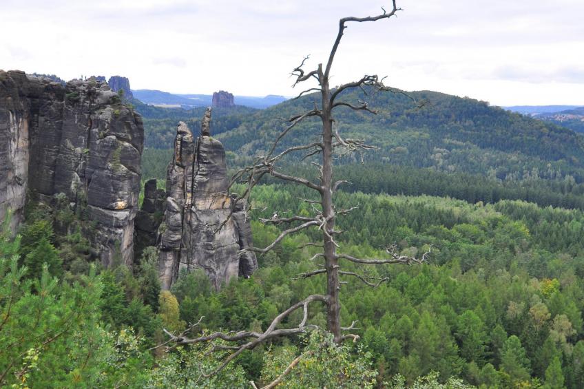 Haus am Stein Haus 1 - foto 48