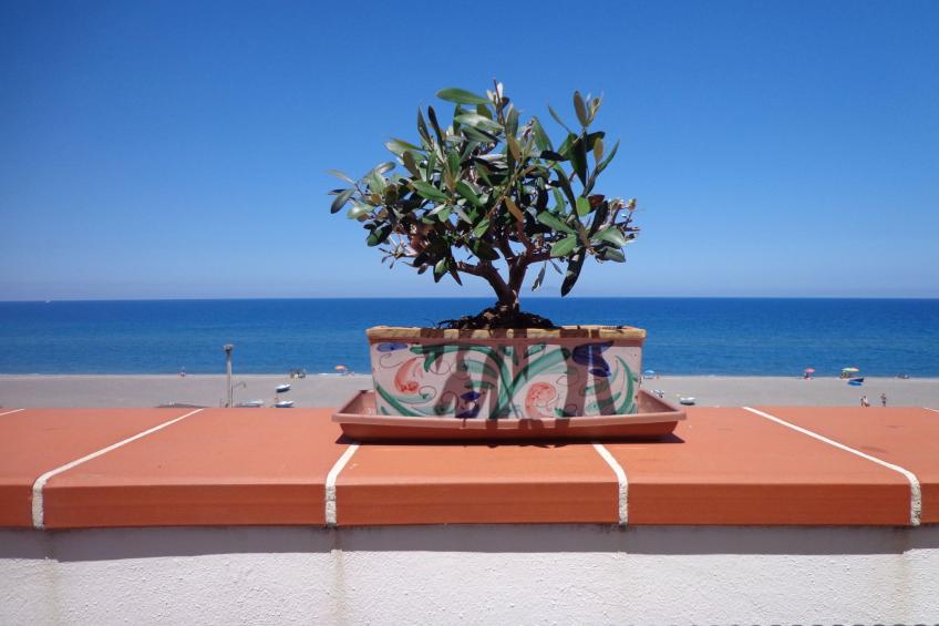 Charmante Wohnung in Marchesana mit Terrasse