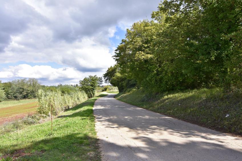 Buroli kuća - foto 50