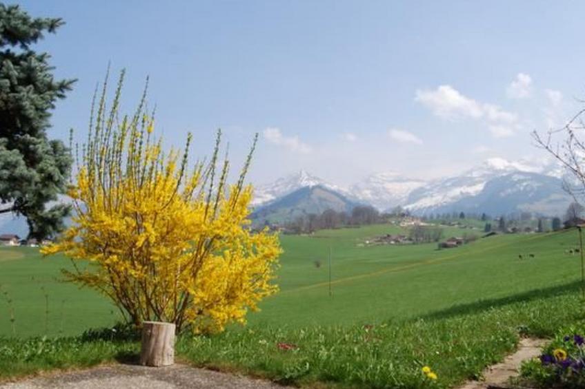 Chalet Alouette - foto 7