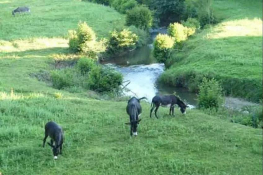 Les Collines Iduki 2 - foto 35