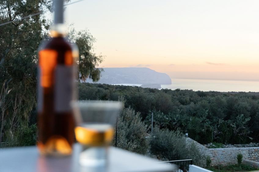 Mani Tigani View - foto 19