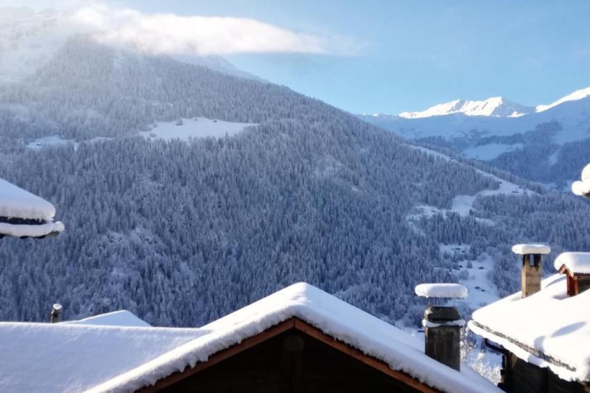 Chalet 3 Zi. in ruhiger Lage, in der Nähe von Verbier - foto 2