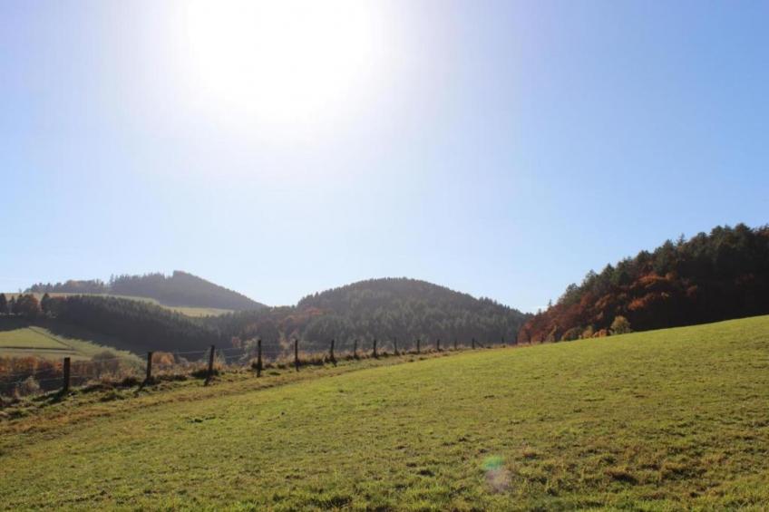 Am Hermannsberg - foto 8