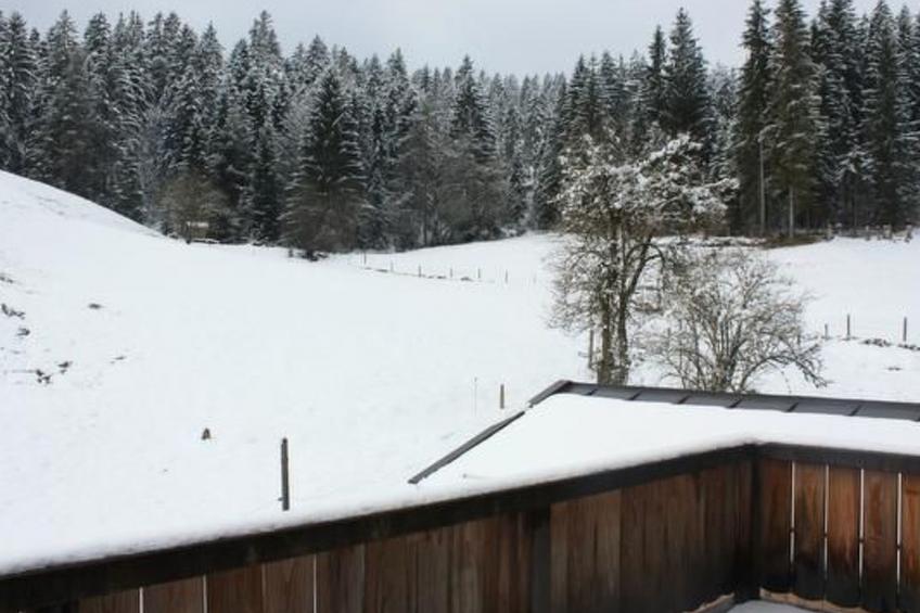 Hundsreitmühle in Bischofswiesen - foto 13