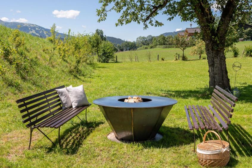 in Schwemmberg mit Grill, Garten und Terrasse - foto 4