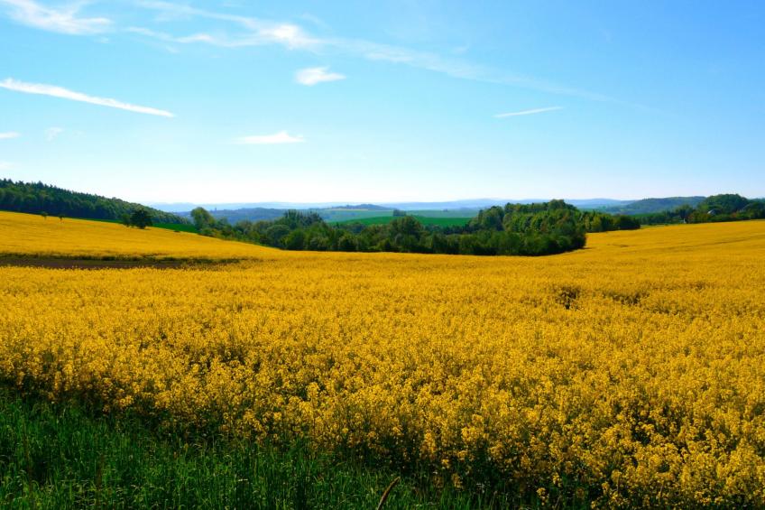 in Maxen mit Privatem Pool - foto 20