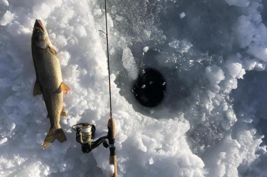 Chesa Andrea, EG - foto 38