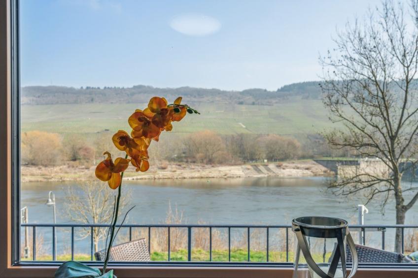 mit Balkon und schönem Moselblick - foto 6