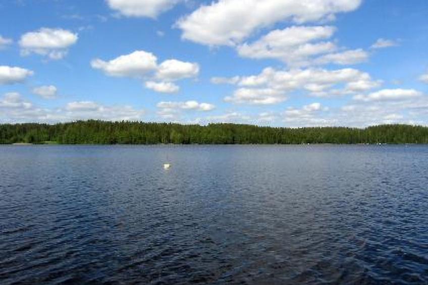 Lomakuikka - foto 15