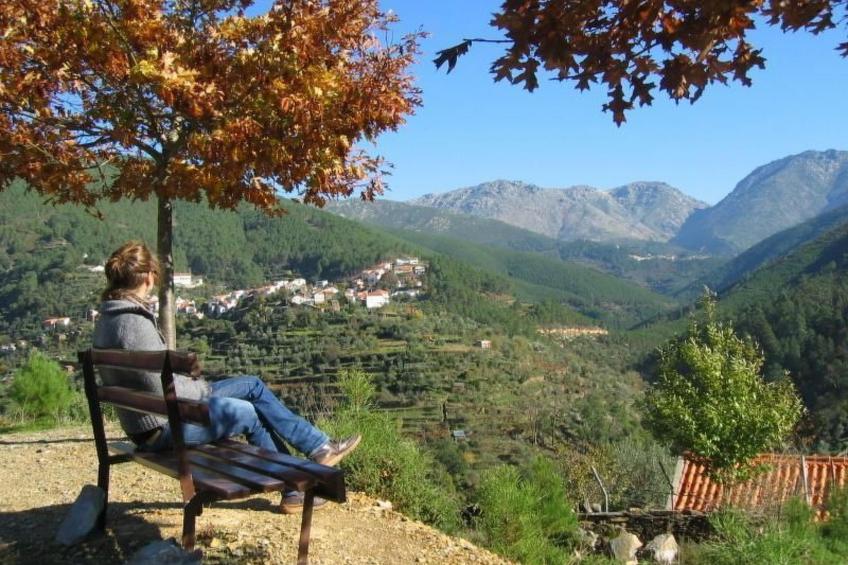 mit Sonnenterrasse und großem Garten - foto 31