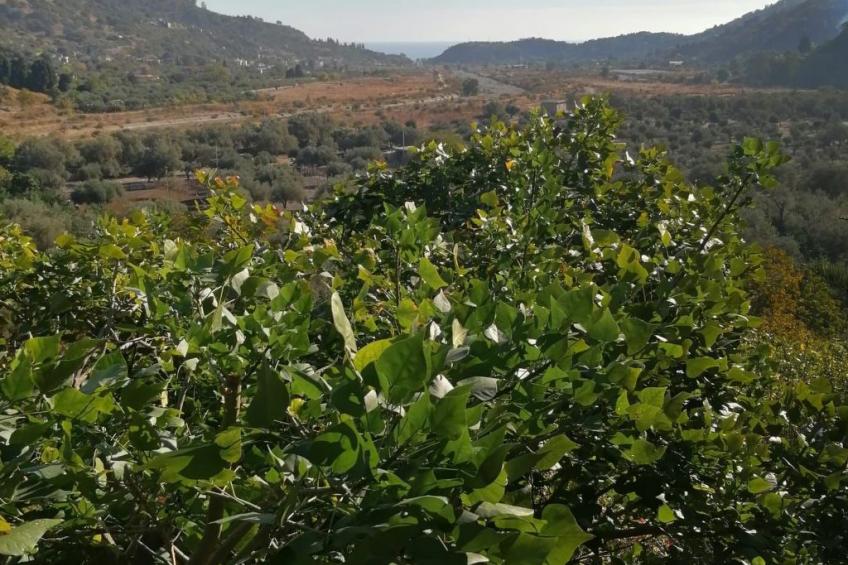 Das Haus der Julia - foto 7