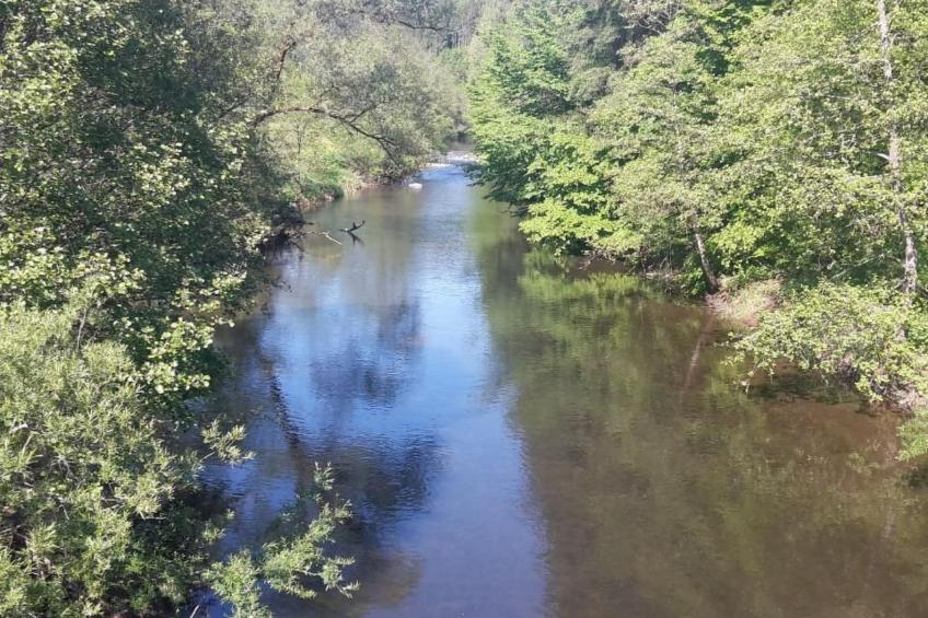 in Zendscheid mit Offenem Kamin - foto 36