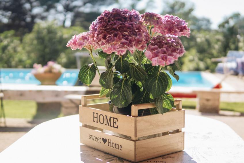 Oleandri Ferienhaus mit privatem Pool - foto 7