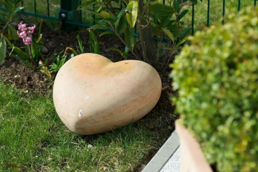 mit Blick auf das Wasser - foto 13